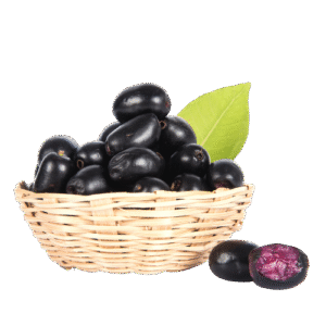جامن | java plum (jamun)