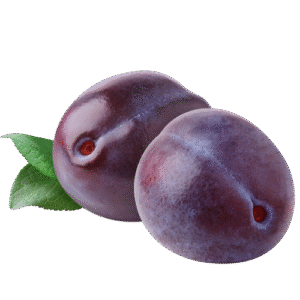 آلو بخارا | plum