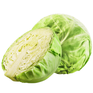 بند گوبھی – cabbage
