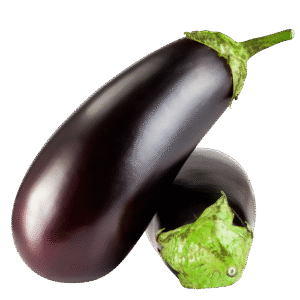 بینگن – eggplant / brinjal