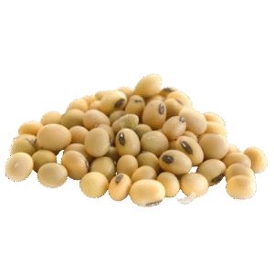 لوبیا – beans