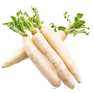 مولی – radish