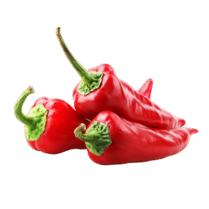 🌶️ Red Chilli (Lal Mirch)