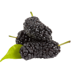 شفتالو | peach